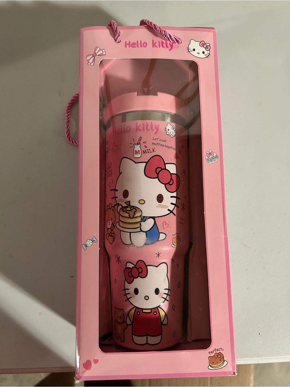 Hello Kitty Pink Character Stainless Bottle with Bow Artwork